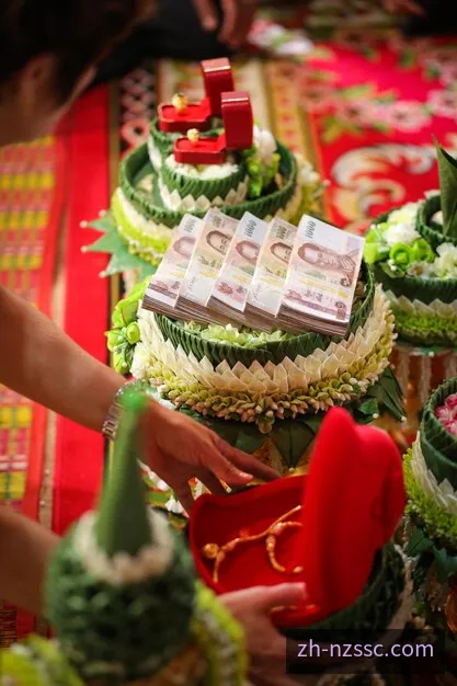新西兰时时彩开奖数据流与走势分析